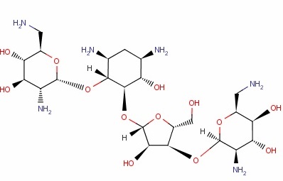新霉素熒光檢測試紙條 新霉素熒光檢測試紙條