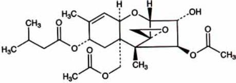 T-2毒素分子結(jié)構(gòu) T-2毒素分子結(jié)構(gòu)