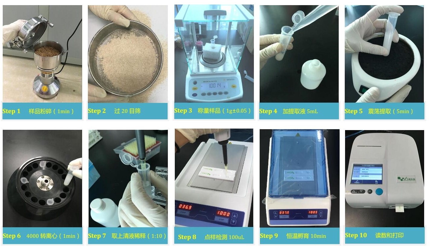 霉菌毒素檢測過程 霉菌毒素檢測過程