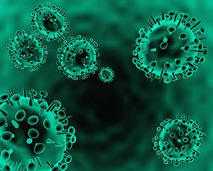 霉菌毒素檢測 霉菌毒素檢測