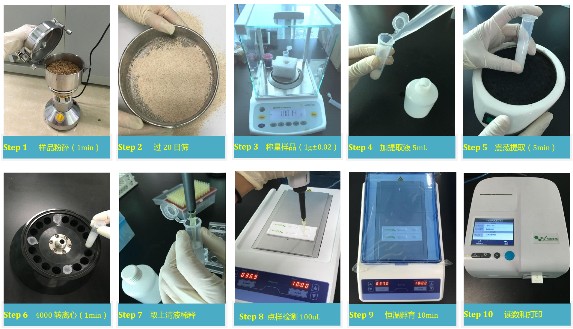 玉米赤霉烯酮檢測流程 玉米赤霉烯酮檢測流程