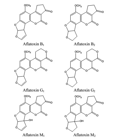 黃曲霉毒素結(jié)構(gòu) 黃曲霉毒素結(jié)構(gòu)