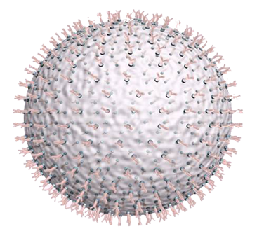 熒光微球 熒光微球