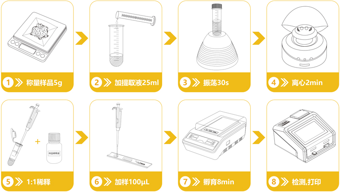 轉(zhuǎn)基因快速檢測流程 轉(zhuǎn)基因快速檢測流程