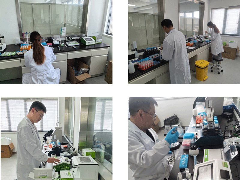 技術支持 技術支持