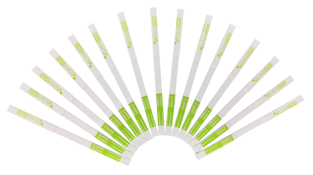 膠體金定性檢測試紙條 膠體金定性檢測試紙條